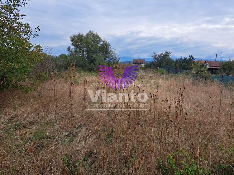 CASA 4 CAMERE 136 MPU SI TEREN 825MP IN DAIA - 11