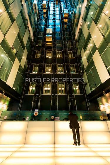 Charles de Gaulle Plaza –Birouri clasa A de inchiriat in Piata Charles de Gaulle - 2
