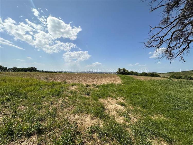 Teren langa padure pentru casa, Cercu, Barnova, de la 500mp la 4000mp - 6