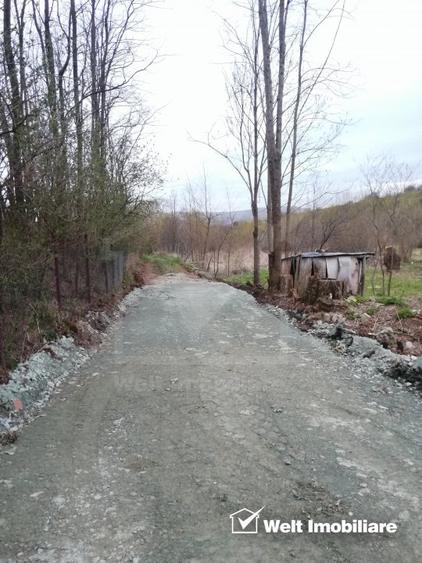 Teren intravilan in suprafata de 1000 mp, Ciurila