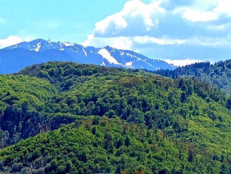 Vand apartament 2 camere