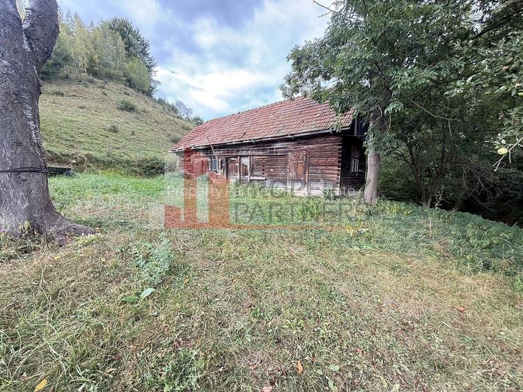 Teren de investiție în Moieciu, lângă Castelul Bran – 11.381 mp, vedere Bucegi - 3