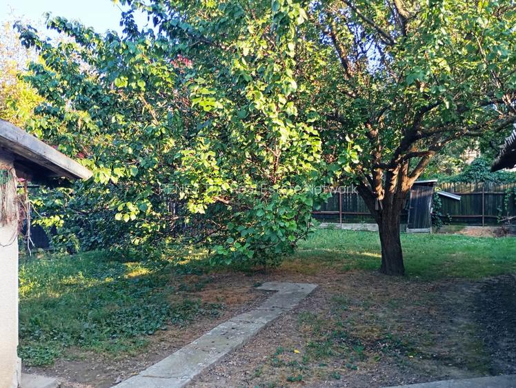 casa cu 4 locuri de parcare ghermanesti (snagov) - 9