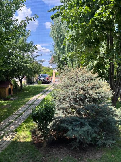 Casa Individuala 4 Camere I Tunari I 400 mp Teren - 38