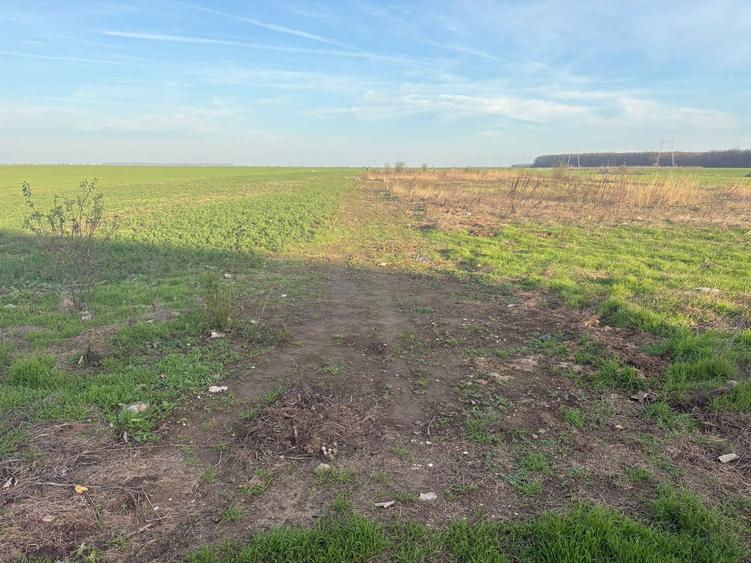 11 loturi de 507 mp (cota drum inclusa) – Strada Traian, Vadu Anei