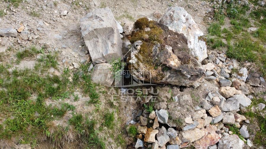 Oportunitate! Domeniu montan, cu lac propriu, oras Lupeni, Hunedoara - 35