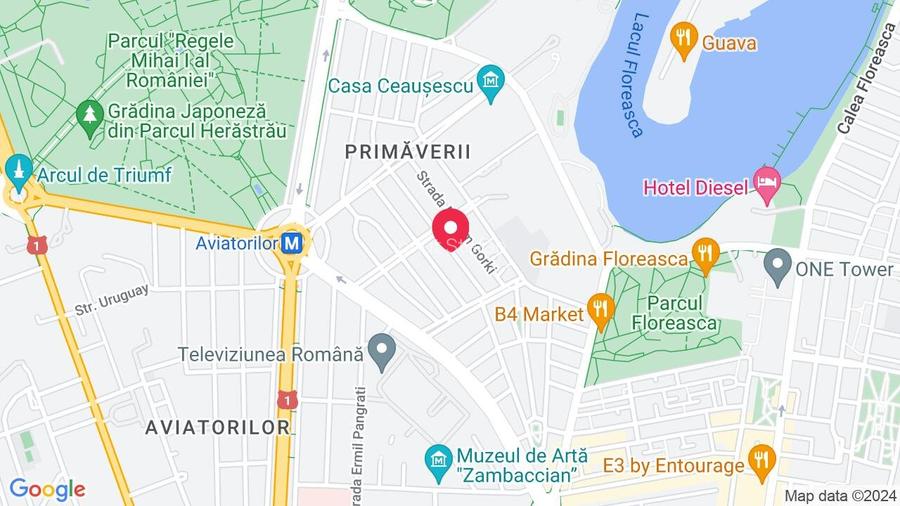 Apartament 3 camere Strada Lev Tolstoi - 2
