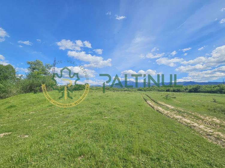 Teren de vânzare în Racovița, Sibiu – Valea Lupului