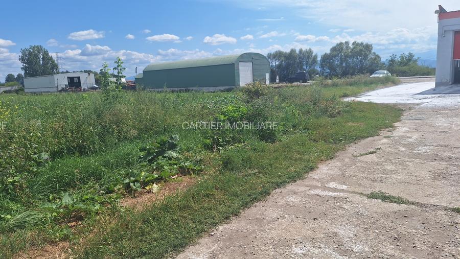 Vand teren 1.5 ha intravilan industrial Halchiu - 8