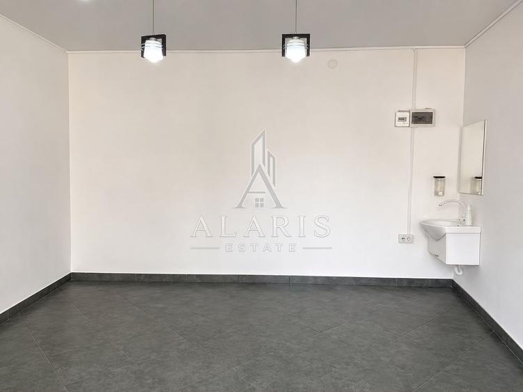 Casa cu 2 spatii SAD si 2 apartamente, in Lipovei