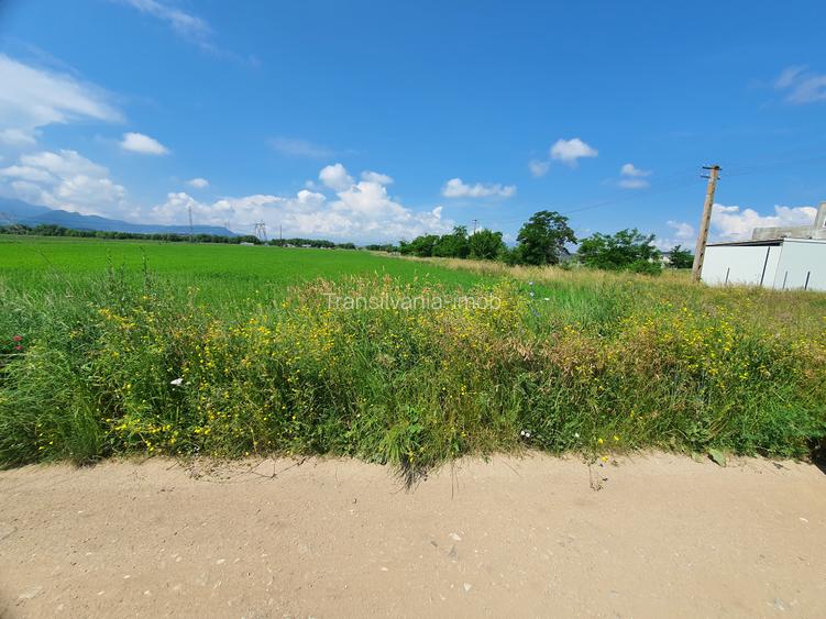 Teren Brasov – Sanpetru Livada zona de case - 4