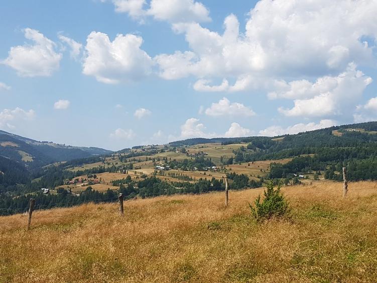 ! Ocazie! Teren extravilan, comuna Arieseni