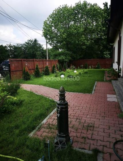 O minune iin mijlocul naturii, la 18  minute pe A3 de București și 10 min de viu - 4