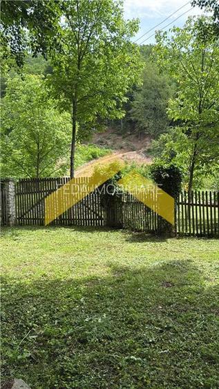 Teren intravilan 2.635 mp Savarsin ideal casa sau investitie - 8