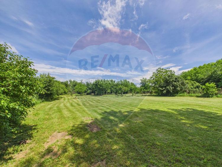 Vila cu Gradina generoasa - Oaza de relaxare in Gruiu - 5
