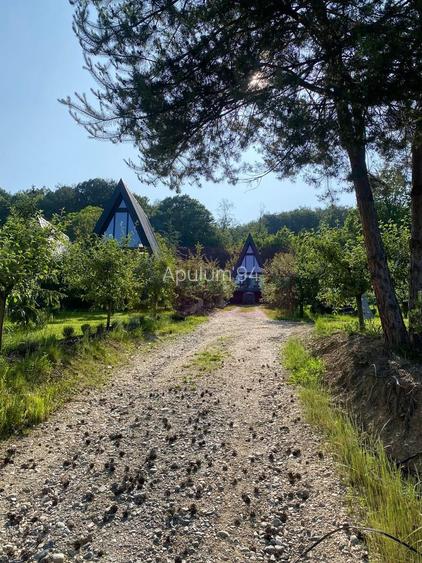 Cabane A frame + Teren 6000 mp |  Proprietate deosebita, NOU - 24