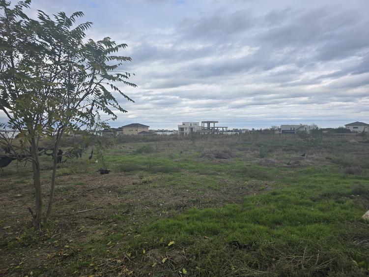 Vand teren in Palazu Mare lot de casa