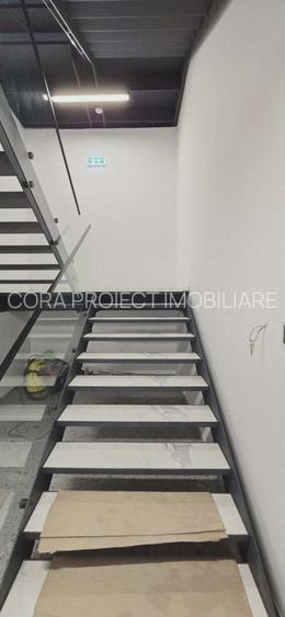 Hala/Showroom/Birouri de închiriat, str. Ogorului / cart. Grigorescu-H0031 - 11