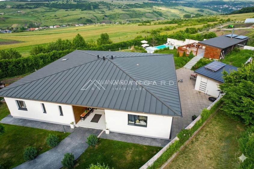 COMISION 0% | DOMENIU PREMIUM CU 11.200 MP TEREN | PISCINA | CORUSU - 5