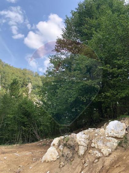 Teren intravilan 1,127mp Remeti / Strada Principala