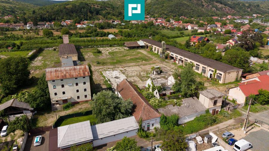 Hală spațioasă în Lipova oportunitate investiție - 29