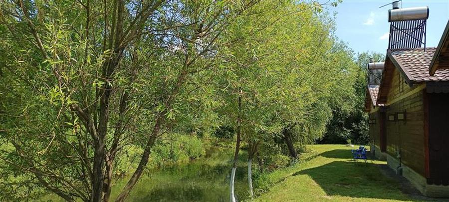 COMPLEX 5 CABANE DIN LEMN CU ACCES LA DUNARE + teren in Podul Gornei, jud. CS