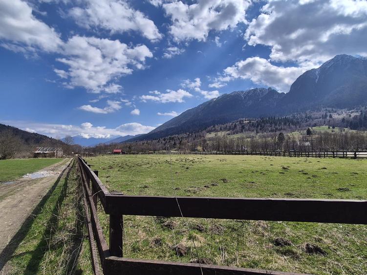 Teren investitie, superb intravilan 1200 mp, Plaiul Foii, vedere la munte
