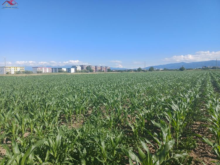 TEREN INTRAVILAN DE INVESTIȚIE – 47.000 MP