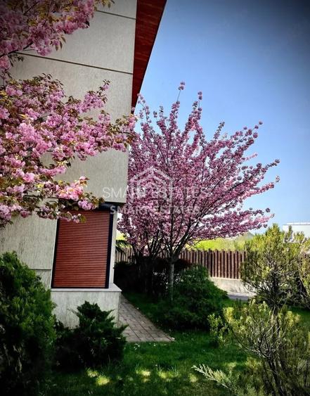 Vila Premium de Vanzare 241 mp I Sisesti - 10