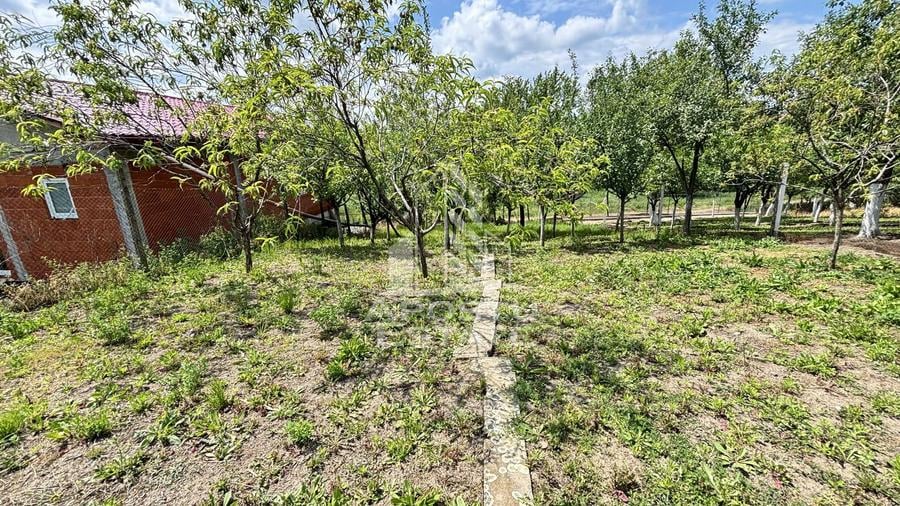 Casa spatioasa, teren 1348 mp, Giarmata