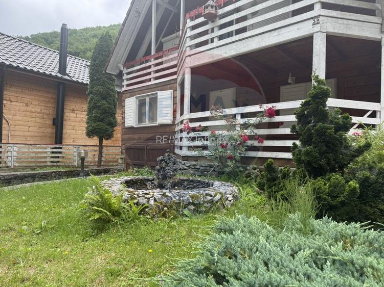 Cabana autentica de munte Frasinet - Baisoara 600 mp teren - 29