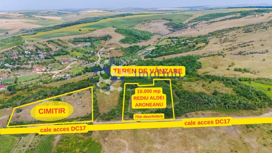 Teren intravilan 10.000 mp în Rediu Aldei (Aroneanu) - 2