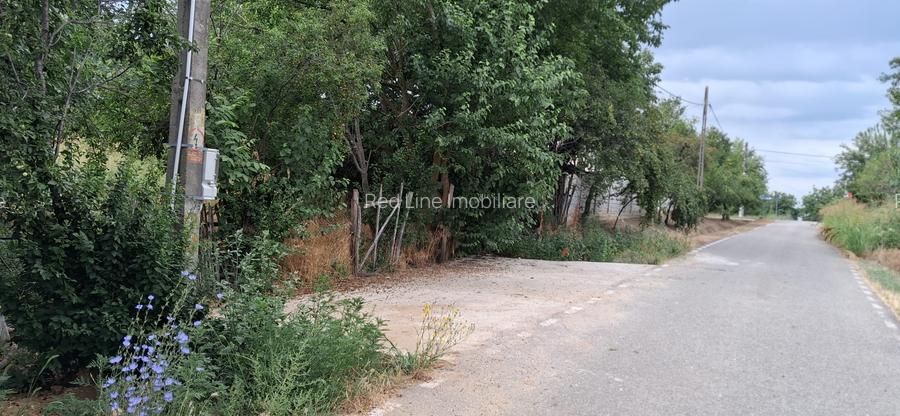 Teren Intravilan  in Tismana (Comuna Devesel), la 200 ml de Dunare - 5