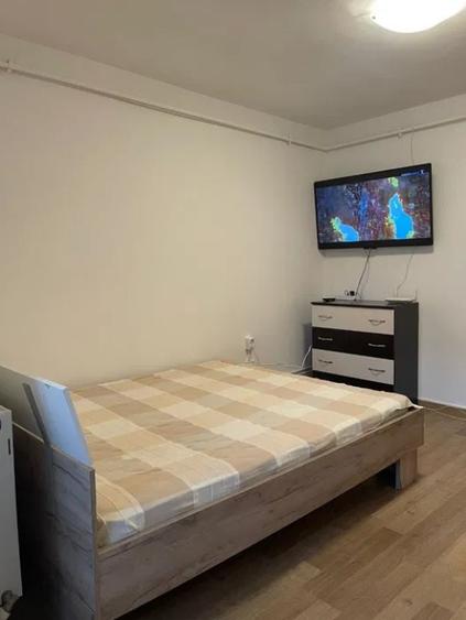 Apartament cu 1 camera in Alexandru cel Bun