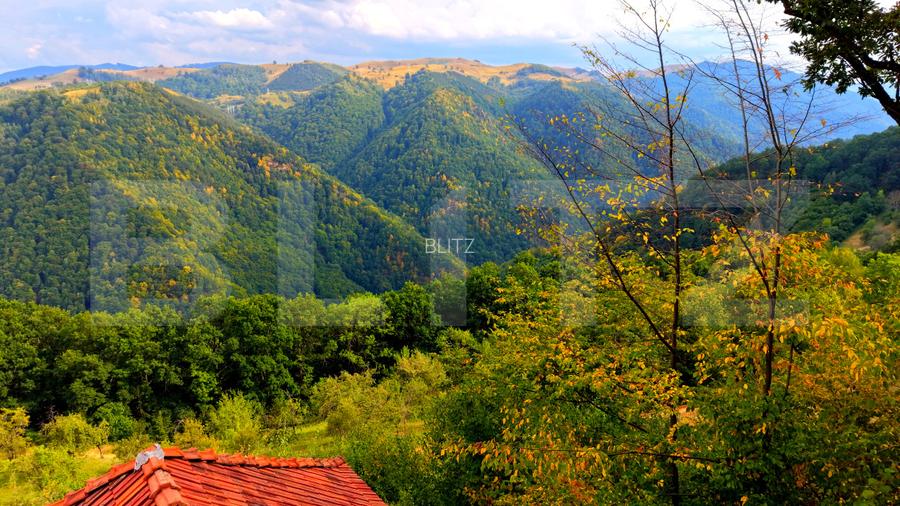 Cabana superbă din bârne de lemn, zona montana – Șugag - 4