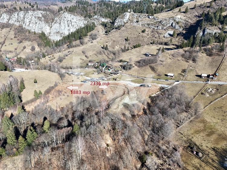 Teren intravilan de vanzare Dambovicioara , Piatra Craiului