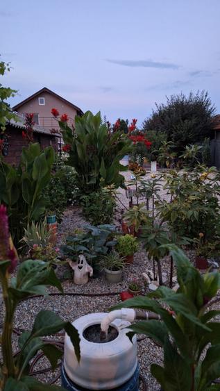 Proprietate Exclusiva de Vanzare in Palazu Mare – 1.412 mp teren