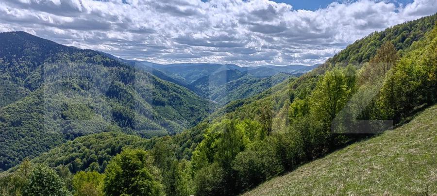 Intravilan de vânzare în Satul Plopi, se poate parcela Comuna Valea Ierii !