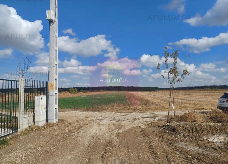 Gulia, teren intravilan curti-constructii, 516 mp, utilități aproape