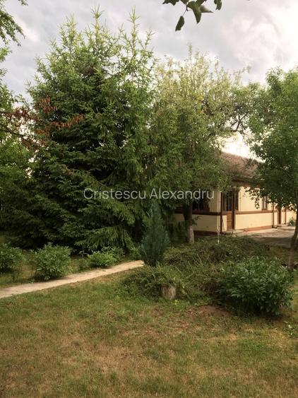 TEREN + CASA Silistea Snagovului toate utilitatile - 2
