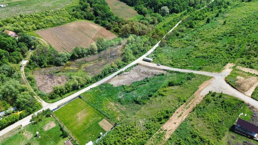Teren intravilan de vânzare – 4.000 mp, Vișan - 2