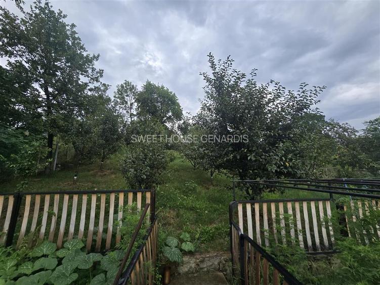 Casa De Lux  in Sinca Veche - 34