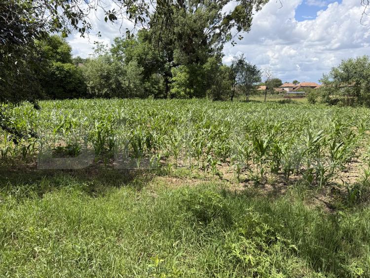 Teren intravilan de vanzare, 3656 mp - Aghires - 2