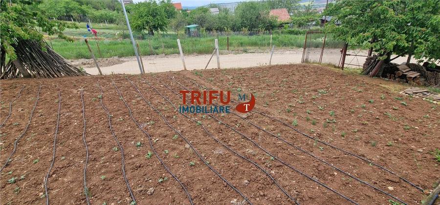Teren de vanzare zona Micesti