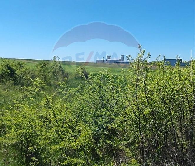 Teren extravilan 11,132 mp, Săcădat, de vânzare