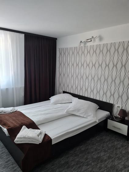 Oportunitate de investitie in STRAJA! Pensiune cu 10 camere zona partiei
