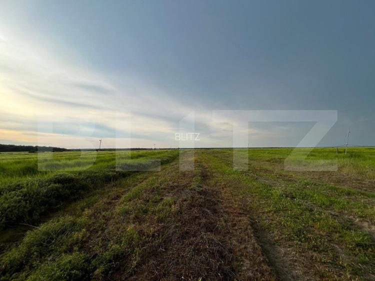 Teren parțial intravilan 23.500 mp, apă, curent și supraveghere video, Bucovăț - 7