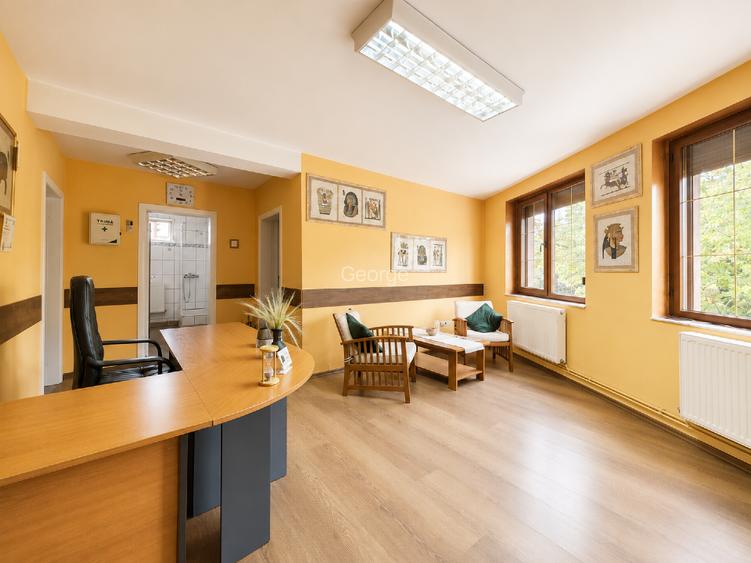 Signature Property | Mixed-Use Asset | Bd. Timișoara - 13