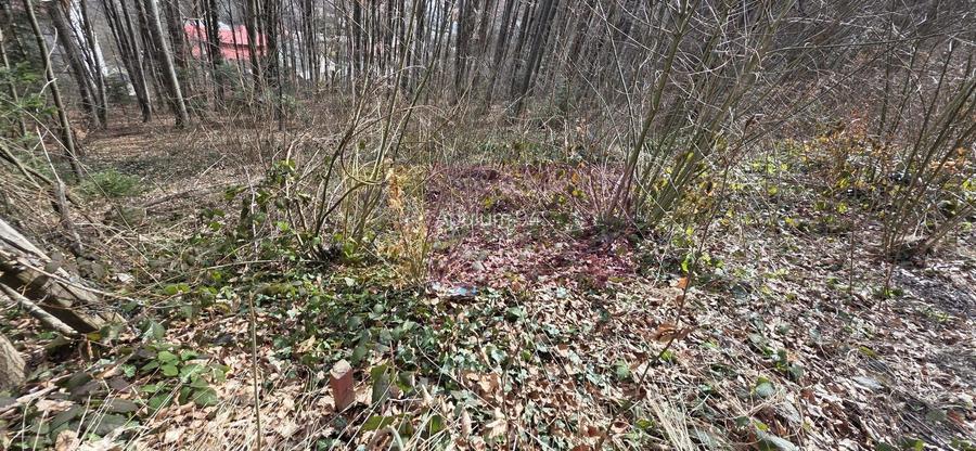 Tere intravilan de vanzare in Sinaia - 2