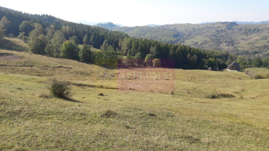 Teren intravilan de vanzare in Breaza (dezvoltare imobiliara)